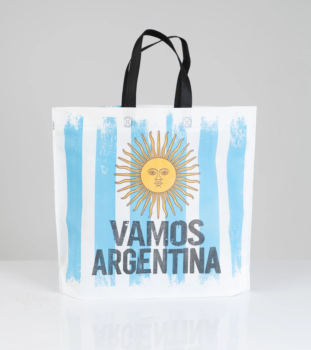 BOLSA FUELLE INFERIOR Y MANIJA